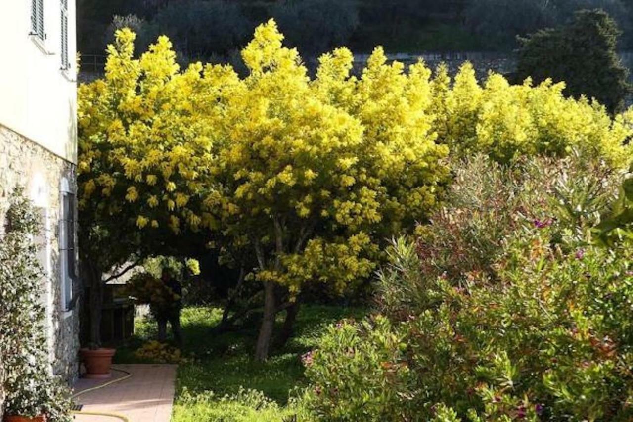 Agriturismo San Michele Di Danio Giovanni Dolcedo Dış mekan fotoğraf
