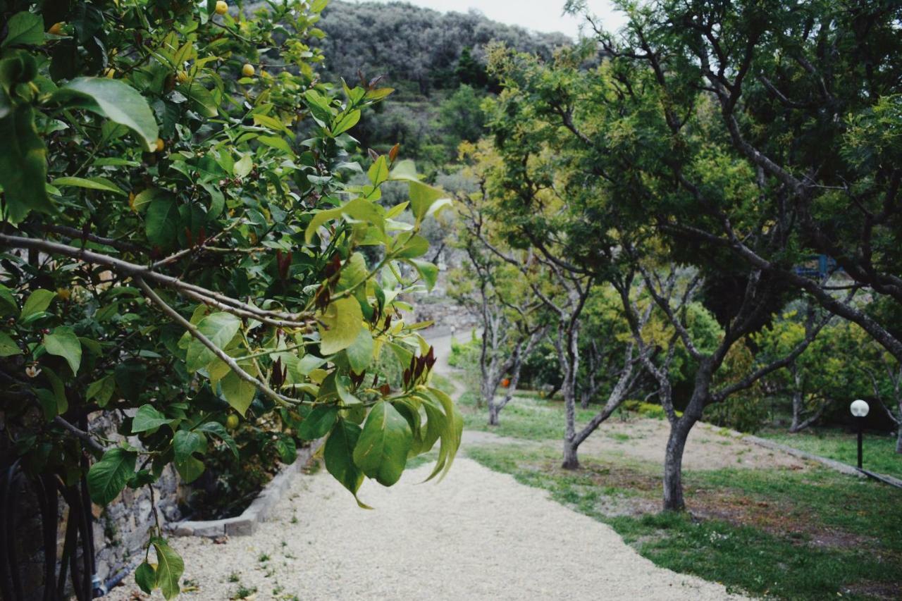 Agriturismo San Michele Di Danio Giovanni Dolcedo Dış mekan fotoğraf